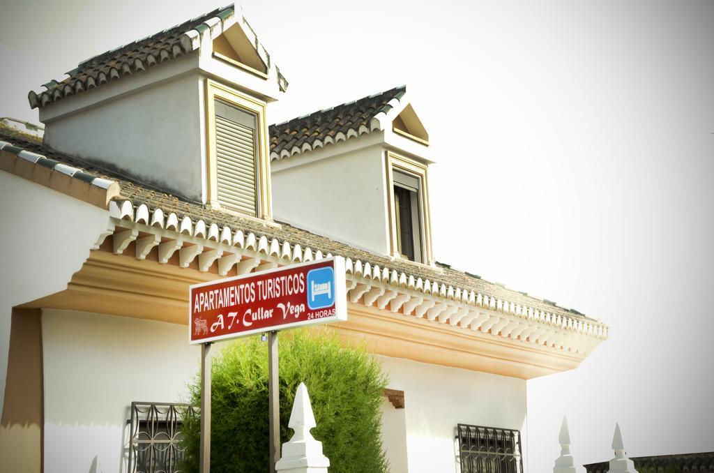 Apartamentos Turisticos Cullar Vega المظهر الخارجي الصورة